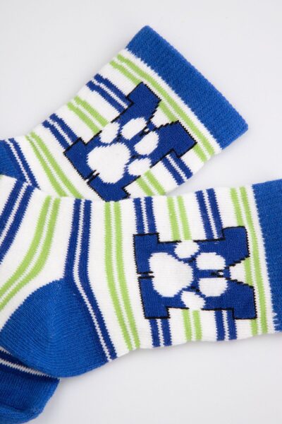 Alternative view of ČARAPE ZA DJEČAKE